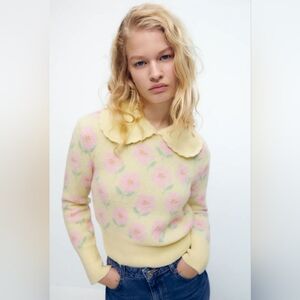 Zara Collared Sweater